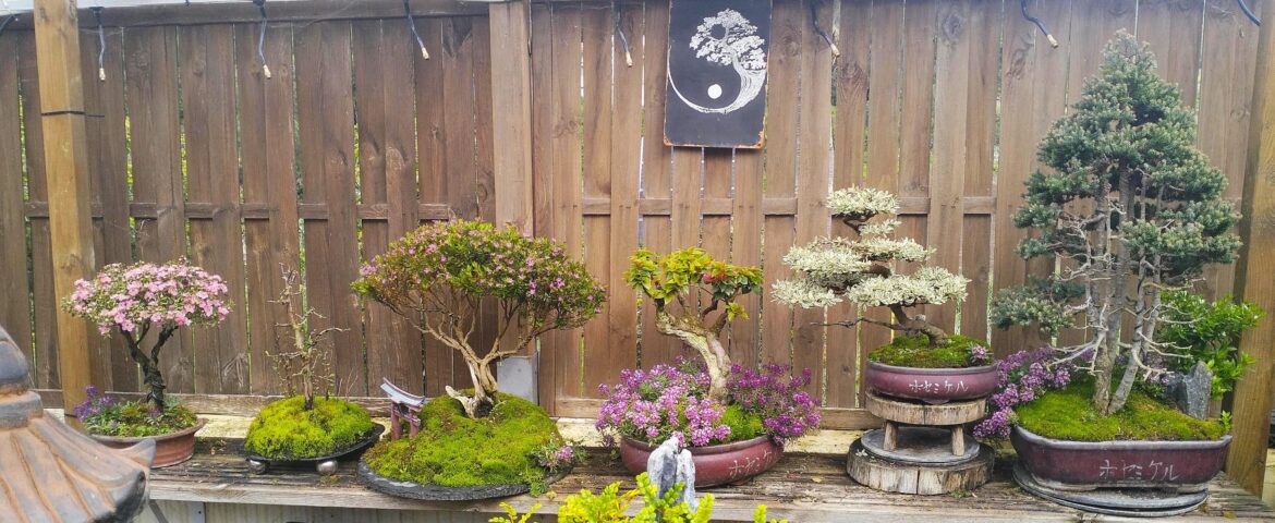 After 5 years in the hobby....