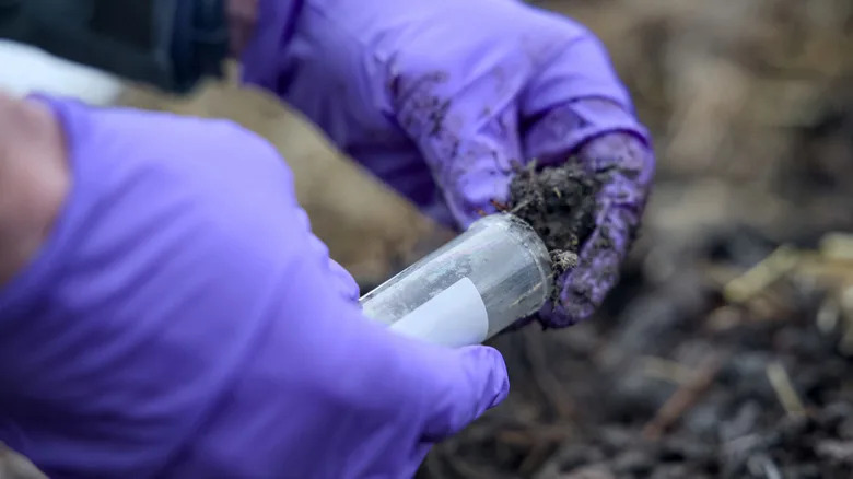 Gloved hands gather a soil sample for testing