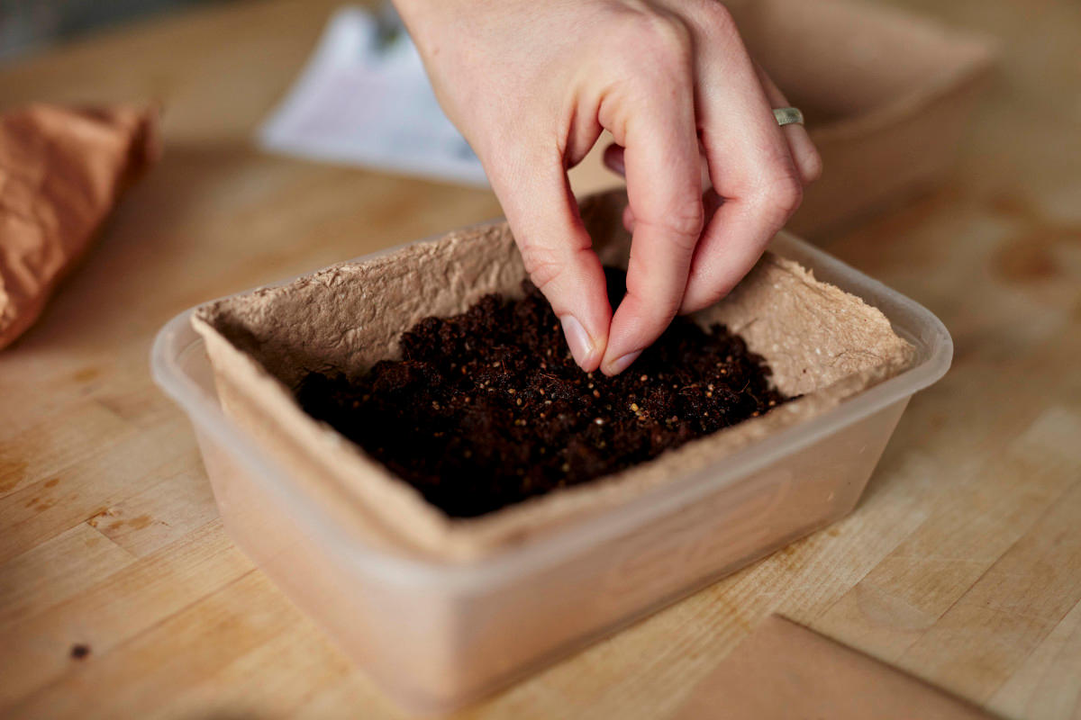 Photo by Mint Images on Getty Images