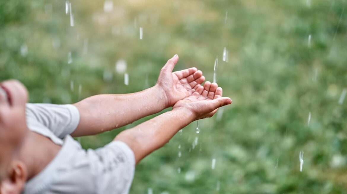 Always Keep Your Garden Hydrated With A Method That Collects Rainwater Always Keep Your Garden Hydrated With A Method That Collects Rainwater