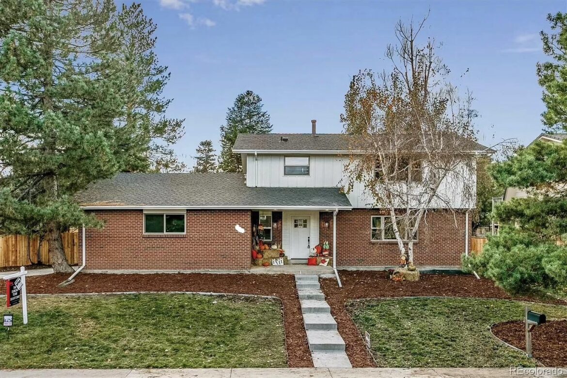 Suggestions for xeriscaping blank front yard