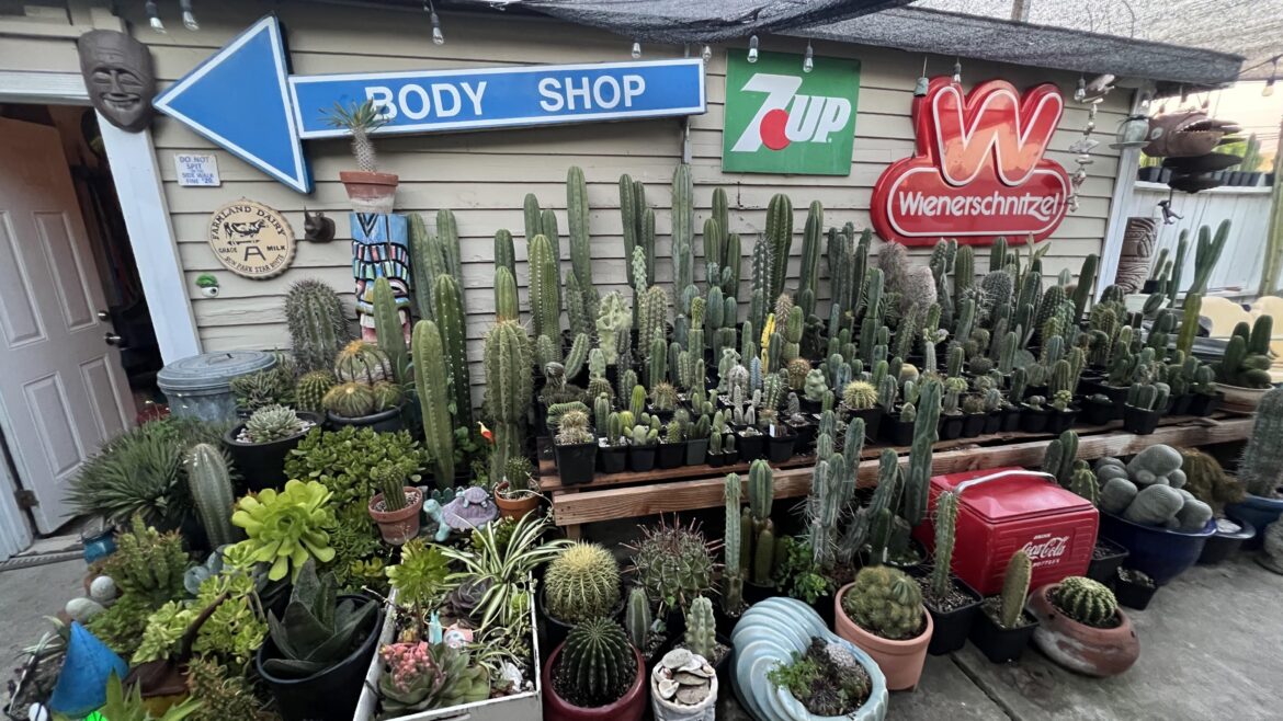 Moved em around yesterday