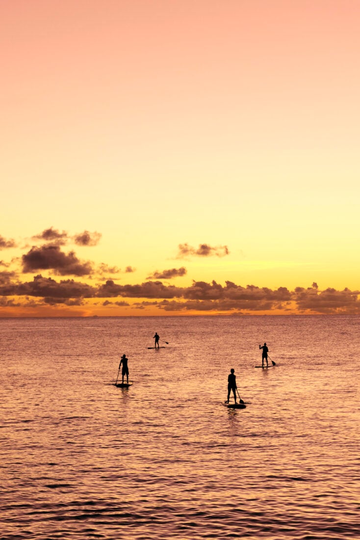 People paddle board into a sunset
