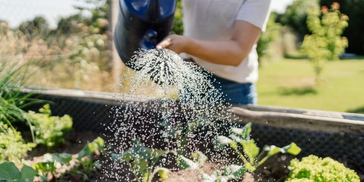 What Is the "No-Dig" Method on TikTok? Gardening Experts Weigh In