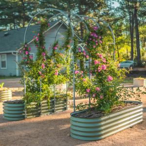 Arched Trellis System15