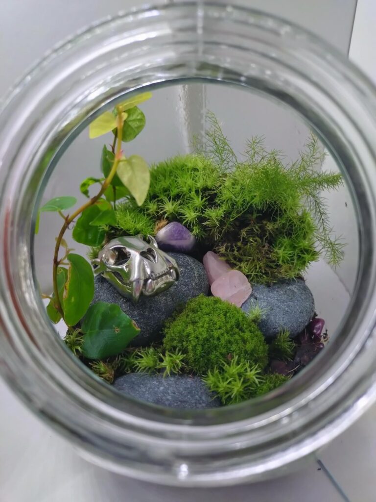 Rearranging my little worlds