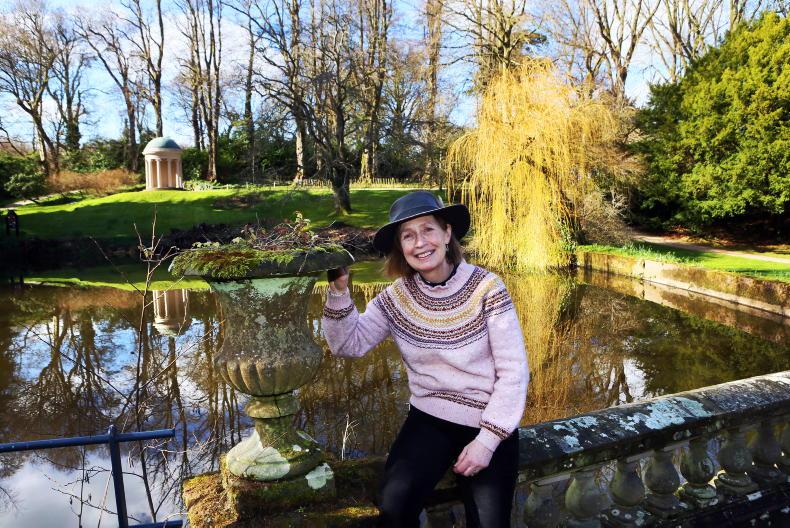 Hillsborough head gardener shares gardening advice Hillsborough head gardener shares gardening advice