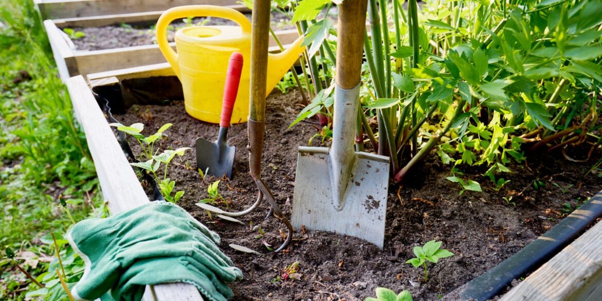 5 Common Mistakes That Are Actually RUINING Your Spring Garden, According to Experts 5 Common Mistakes That Are Actually RUINING Your Spring Garden, According to Experts