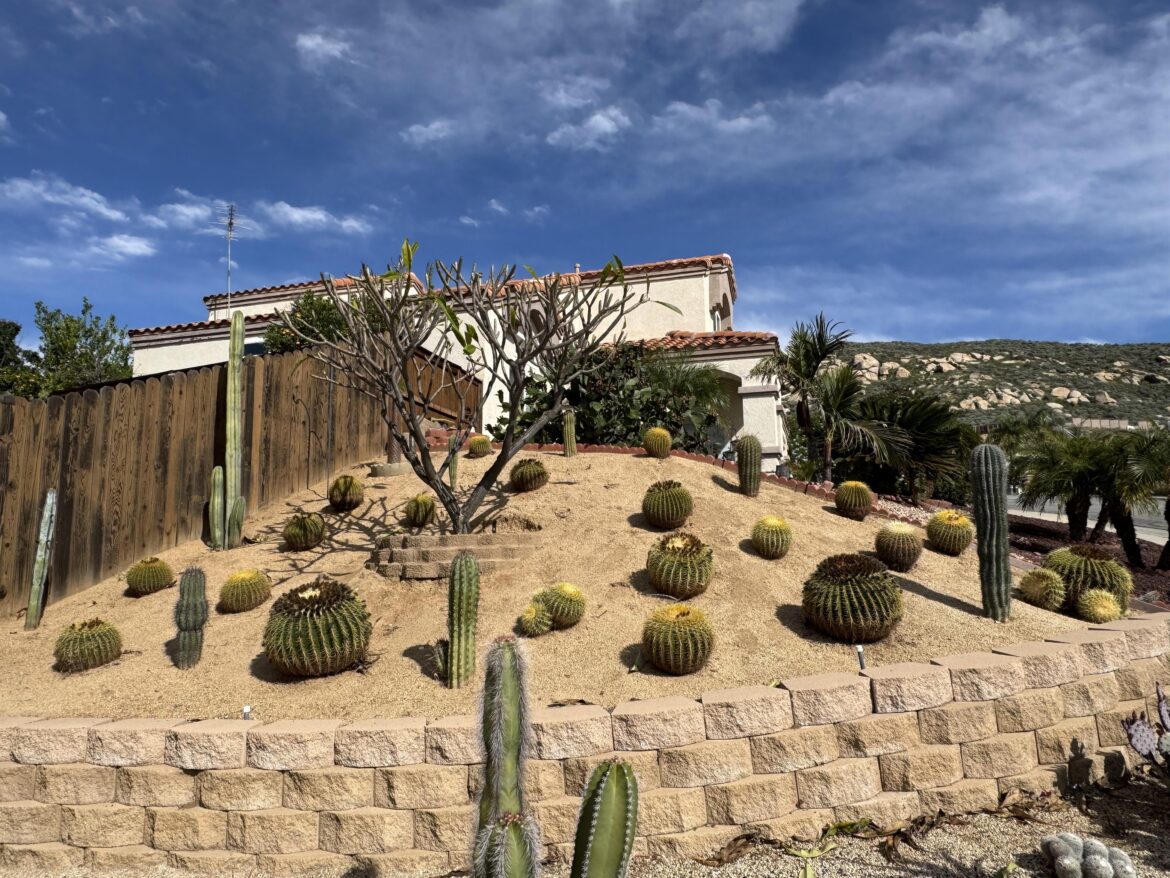 Golden Barrels 4 Days