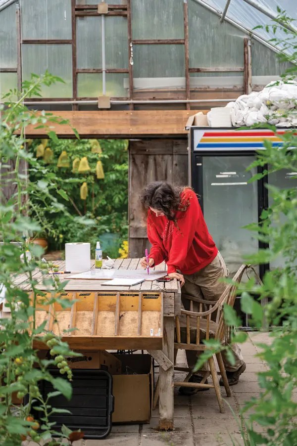 Former Primo farm manager Abigail Gallagher at work in the greenhouse
