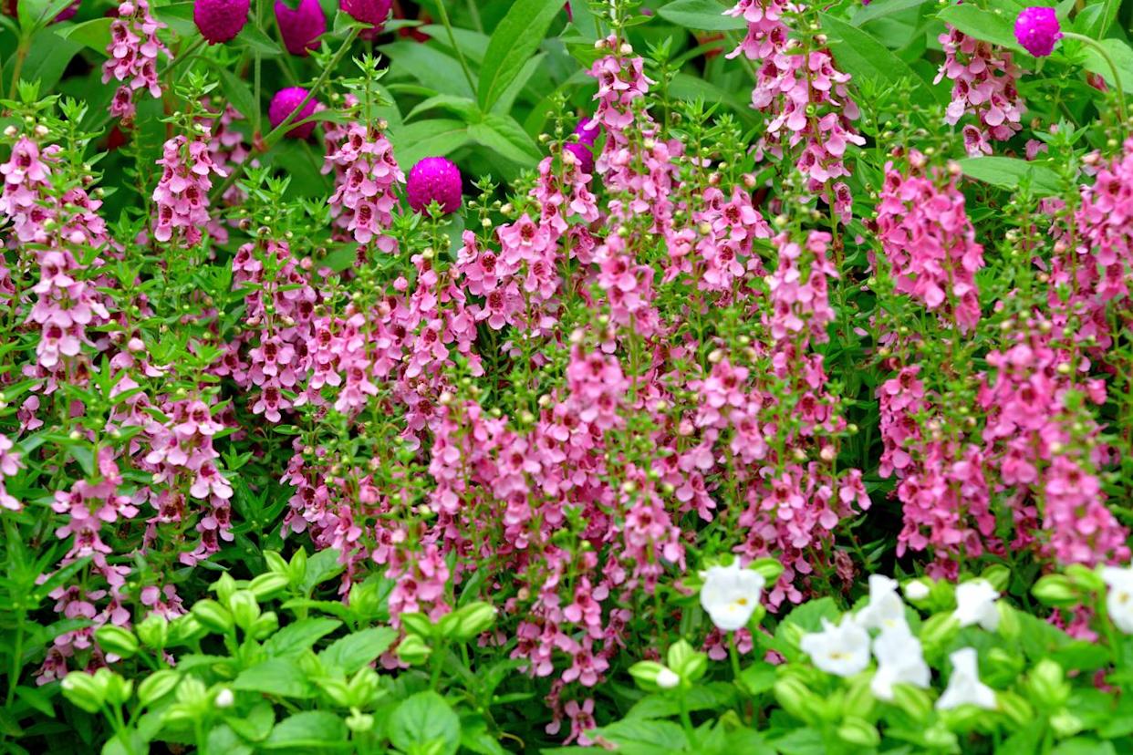 Credit: Getty Images