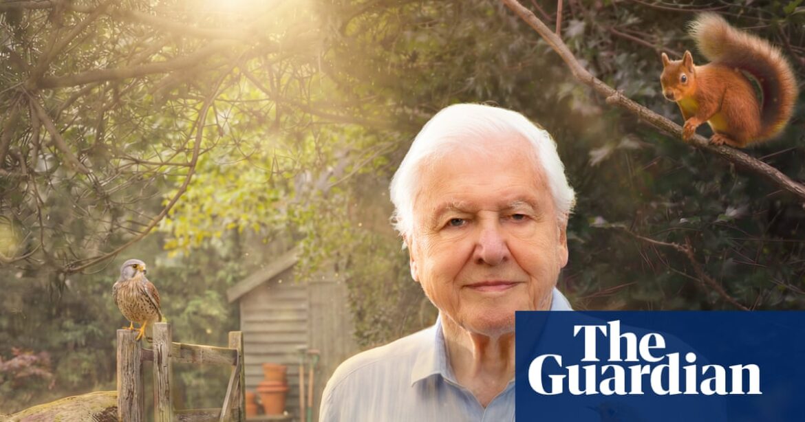 ‘We didn’t want to be preachy’: David Attenborough’s unexpected new show – which might enrage cat lovers | Television ‘We didn’t want to be preachy’: David Attenborough’s unexpected new show – which might enrage cat lovers | Television