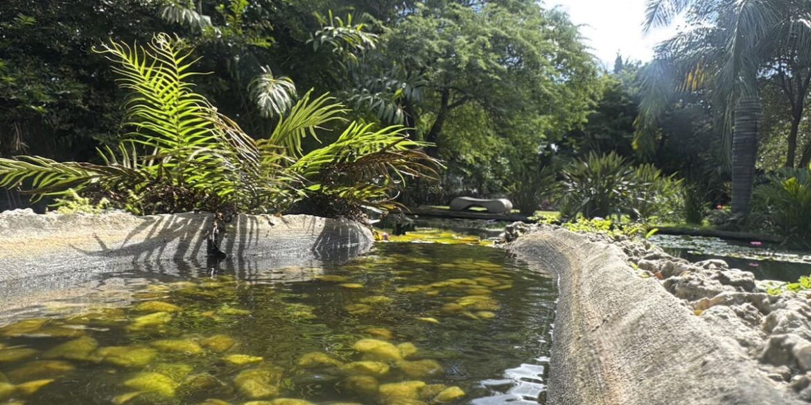 Miami Beach Botanical Garden offers a green escape in the heart of the city Miami Beach Botanical Garden offers a green escape in the heart of the city
