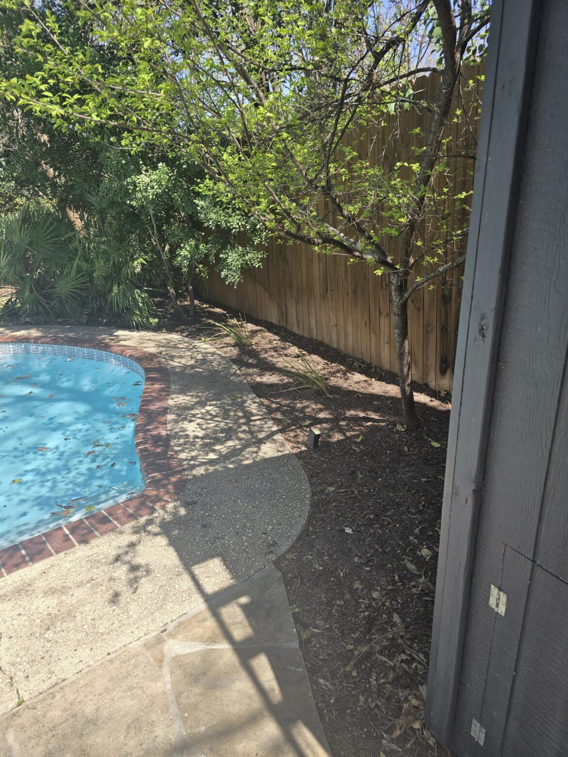 I am the Michael Jordan of killing plants and would love some help