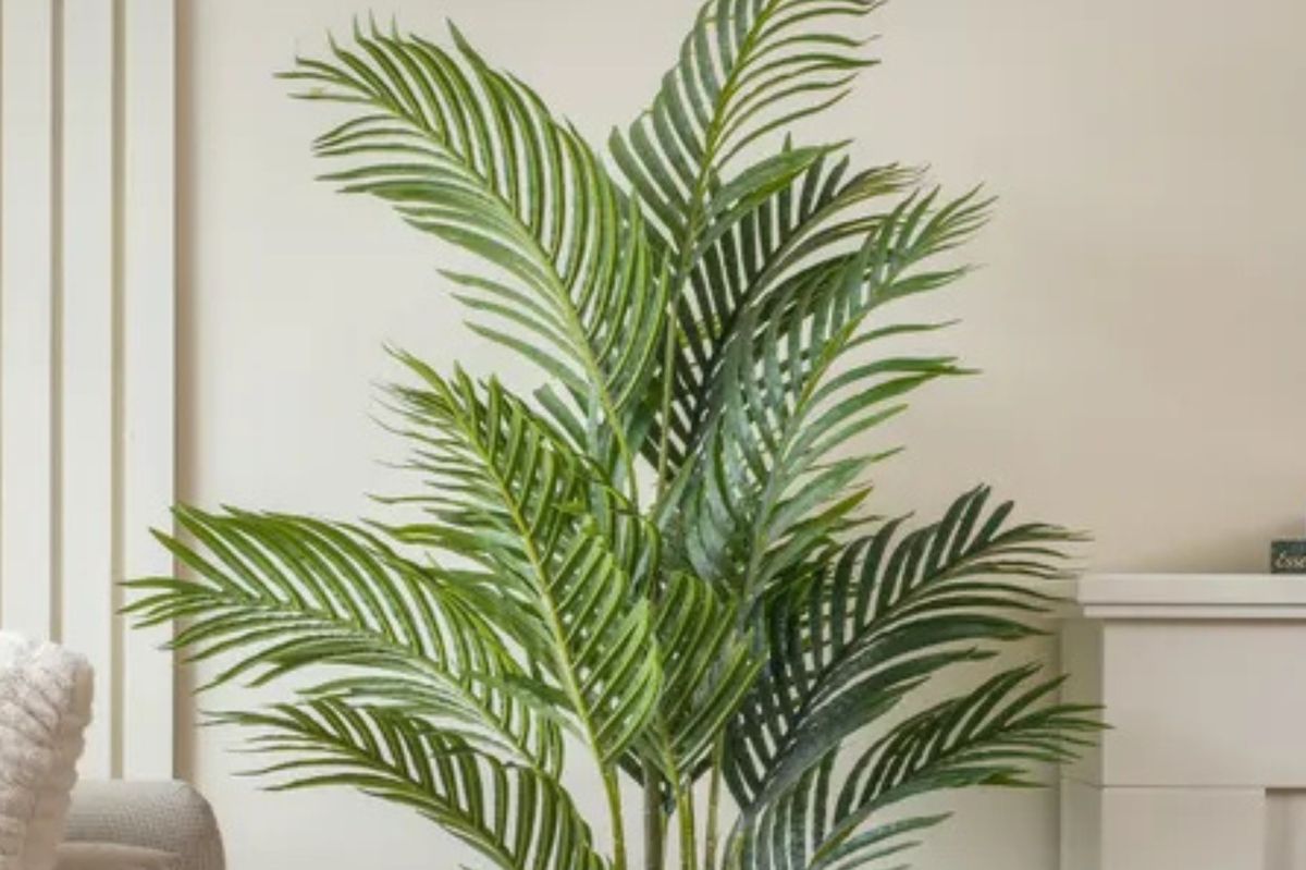 "Beautiful artificial palm tree and looks so realistic"