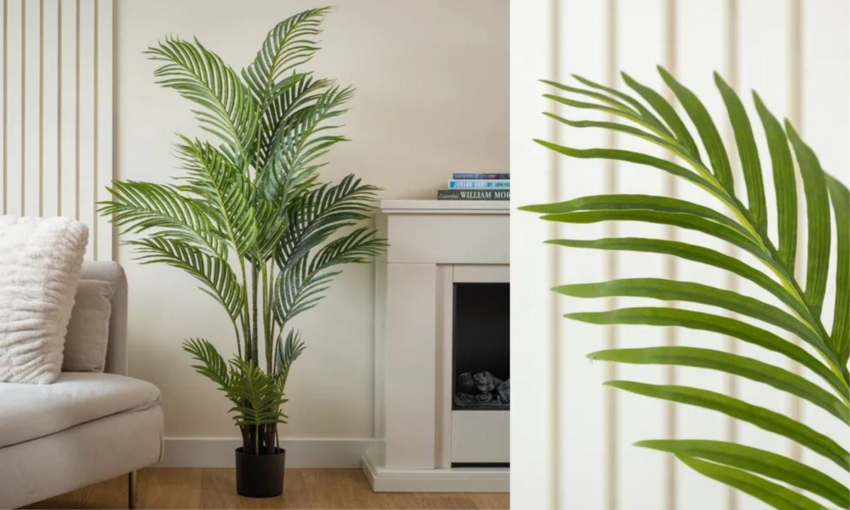 Previously priced at £60, you can pick it up for £48