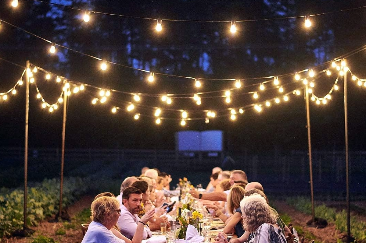Amazon's festoon lights are a great way to add ambience to your garden