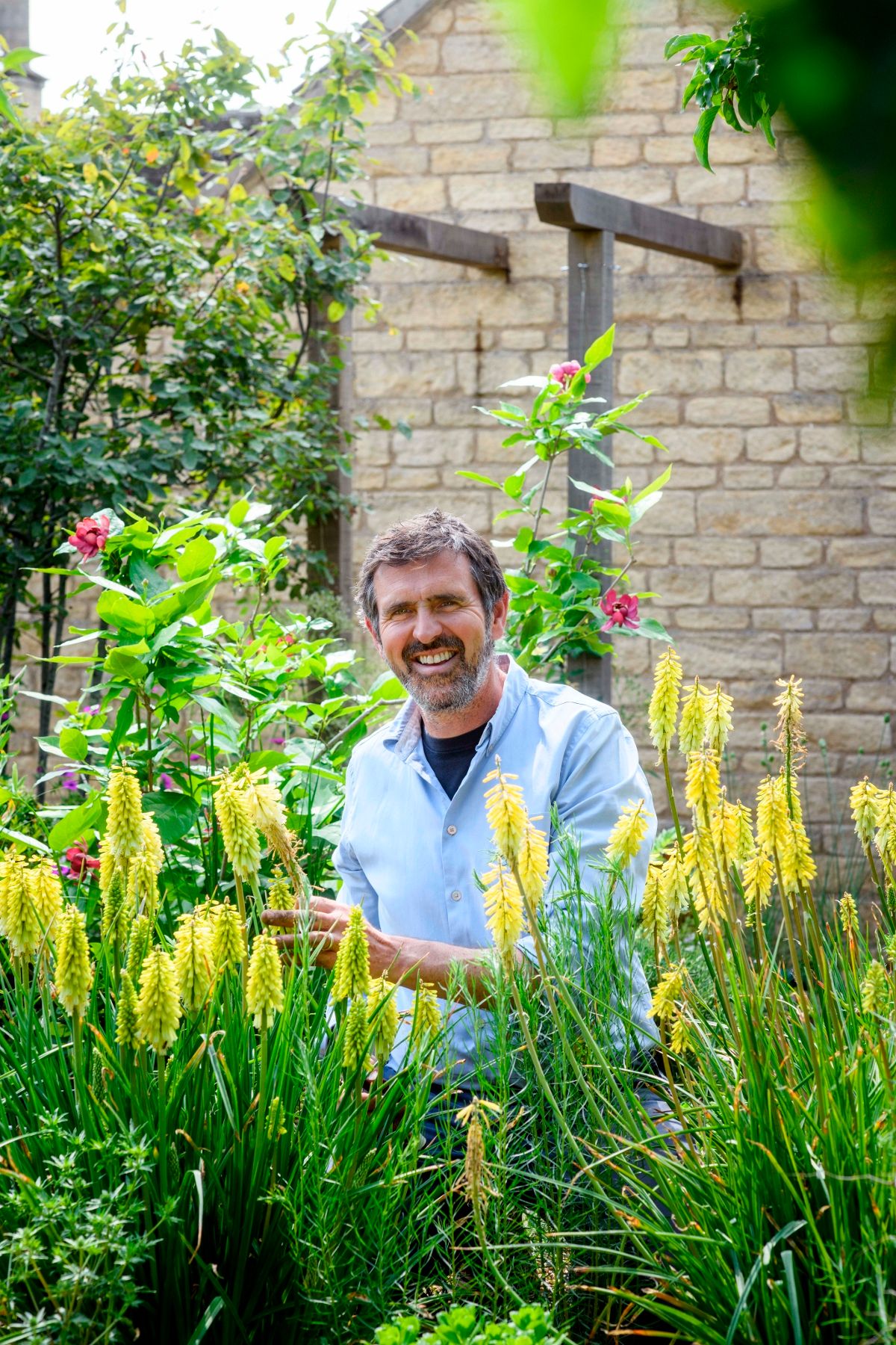 adam frost in the middle of a garden of yellow flowers