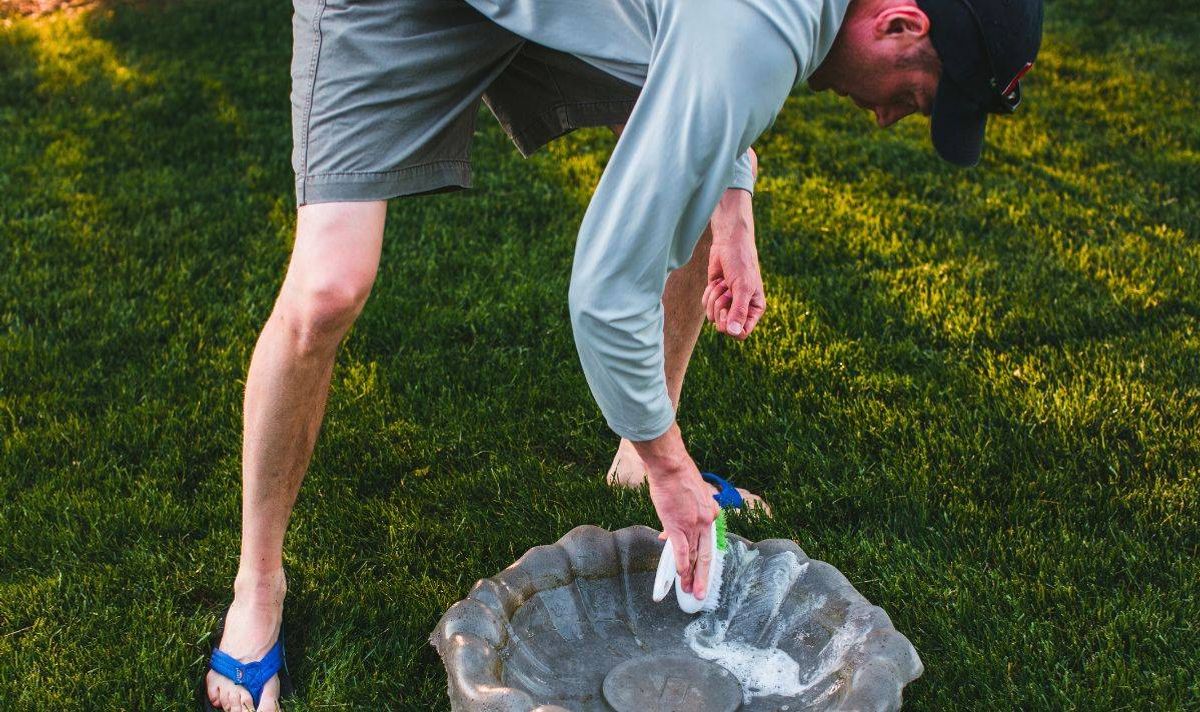 Picture of someone cleaning a birdbath