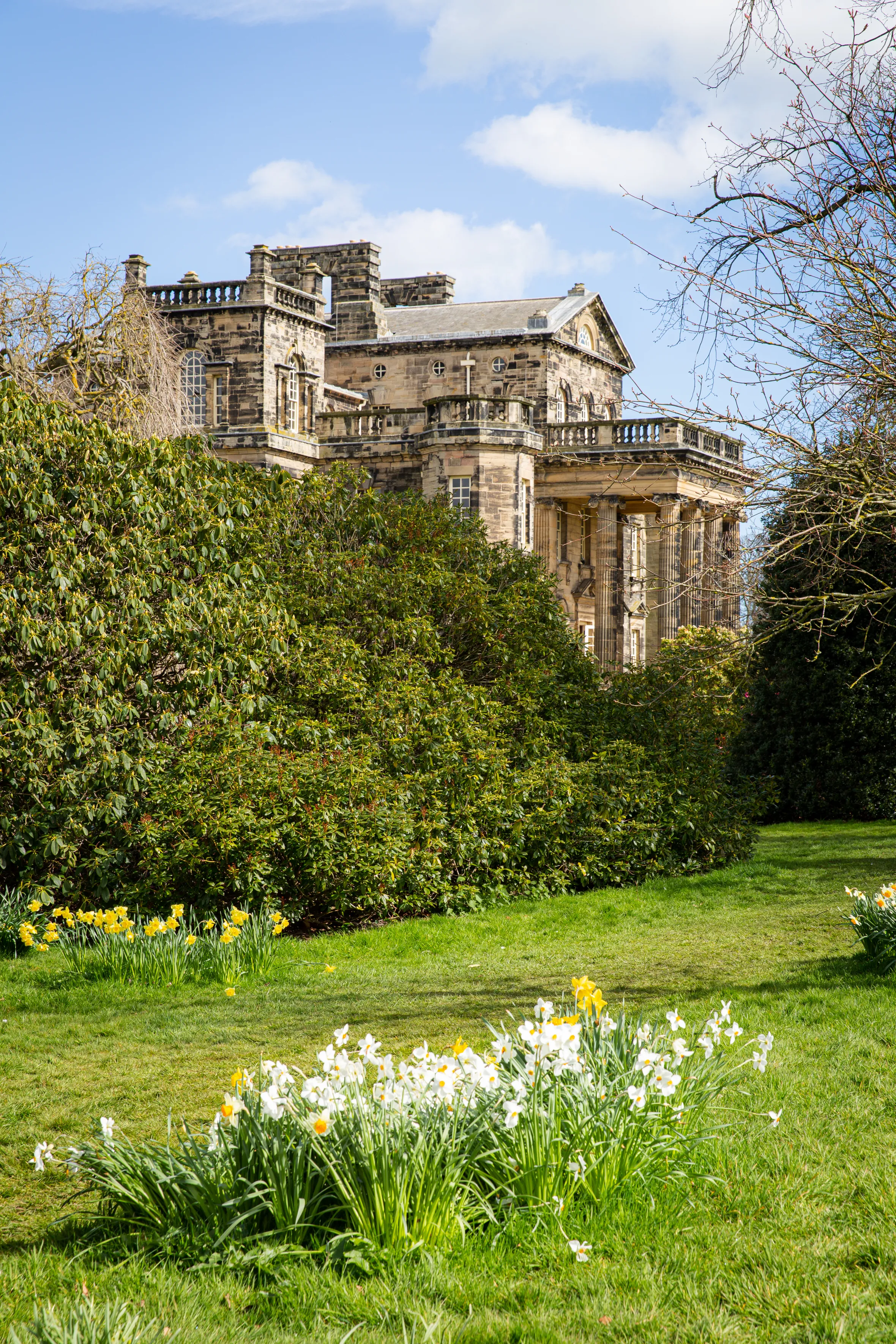 The gardens at Seaton Delaval, Northumberland, featuring daffodil clusters in the foreground and a large stone building in the background surrounded by green shrubs.
