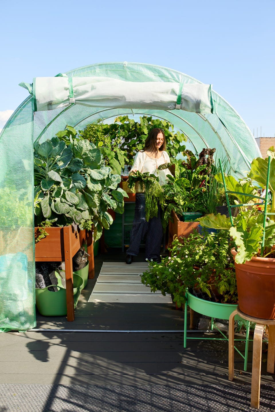 garden setup in a greenhouse with various plants