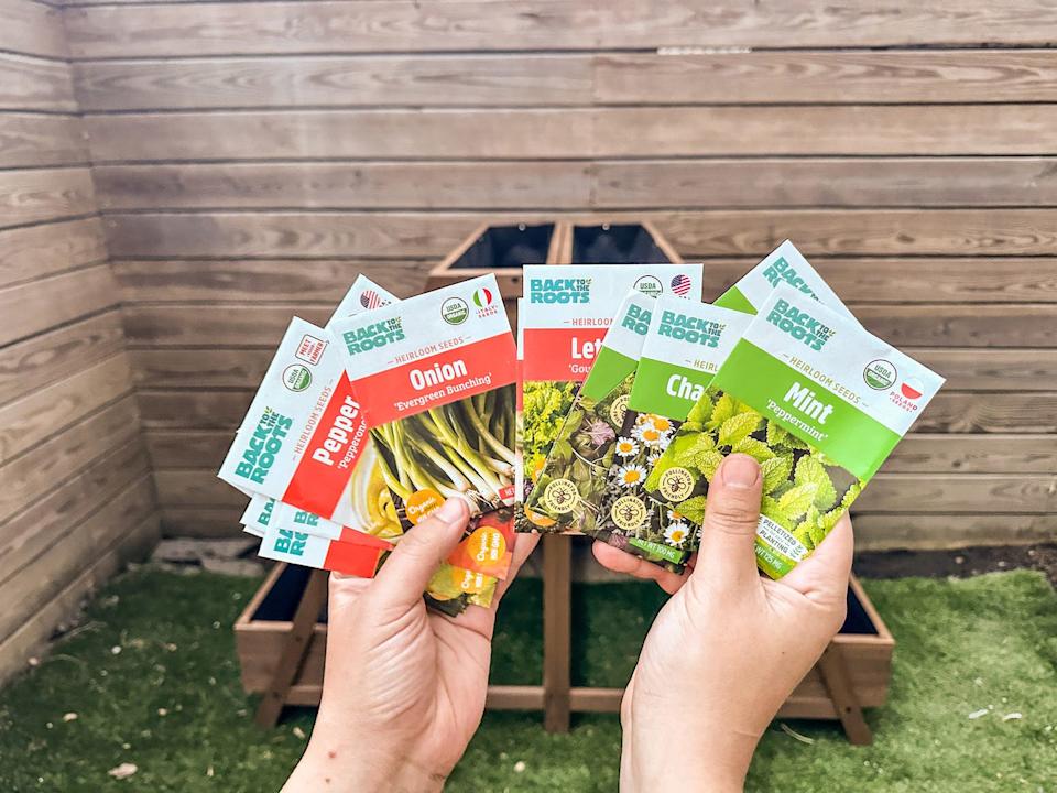 hands holding various seed packets in a garden setting