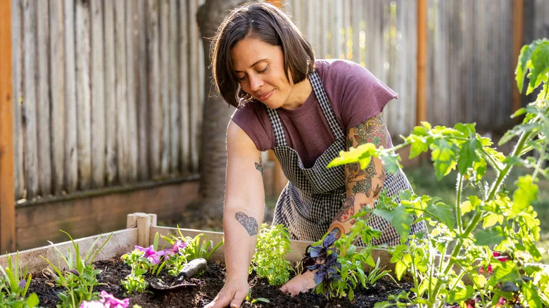 A woman in overalls carefully tends to her raised garden bed