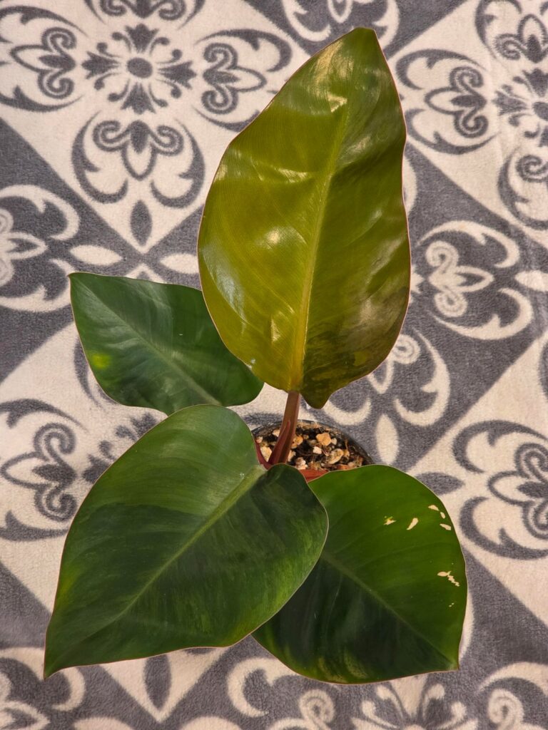 A couple of updates on some babies