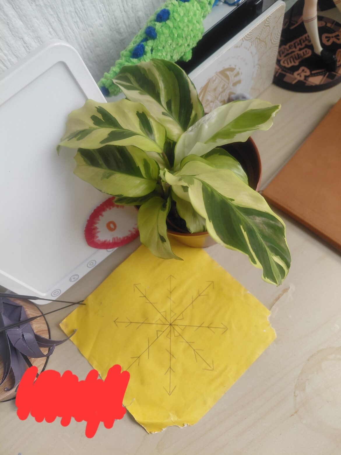 What exactly is this?