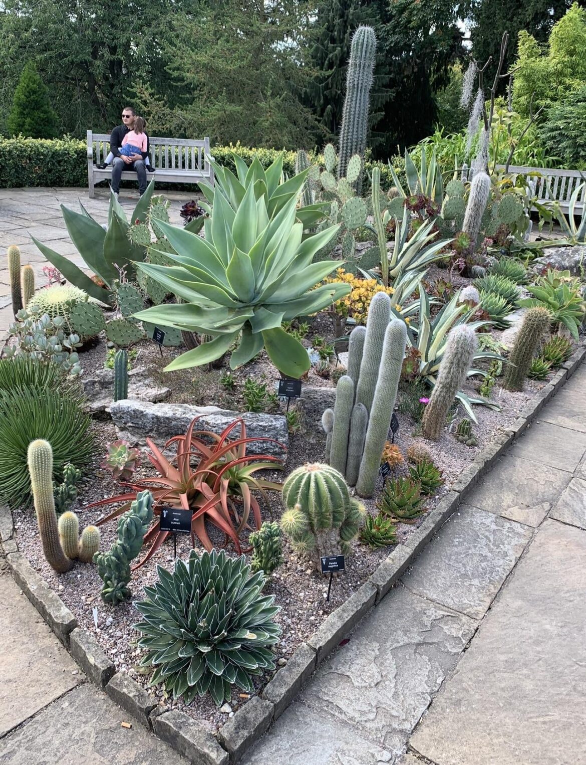 Last September at the Birmingham Botanical Garden UK