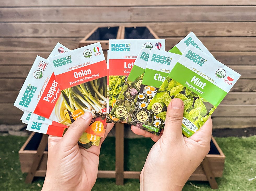 hands holding various seed packets in a garden setting