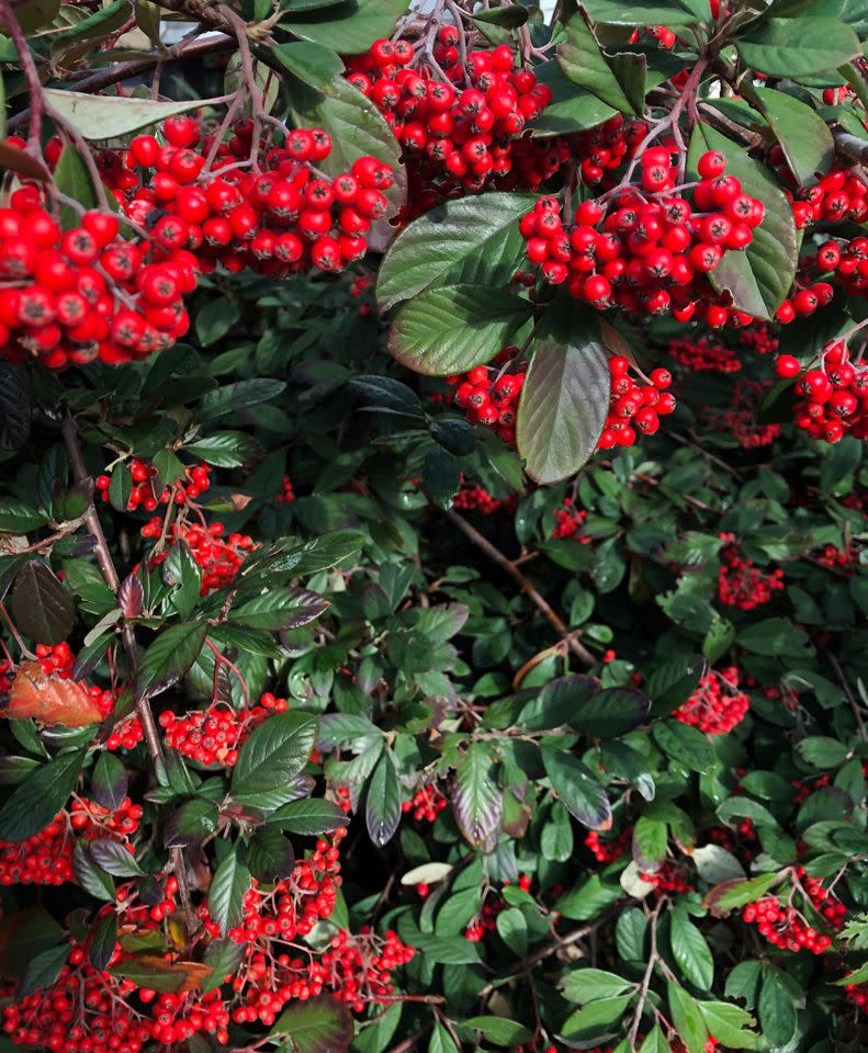 Credit: Getty Images