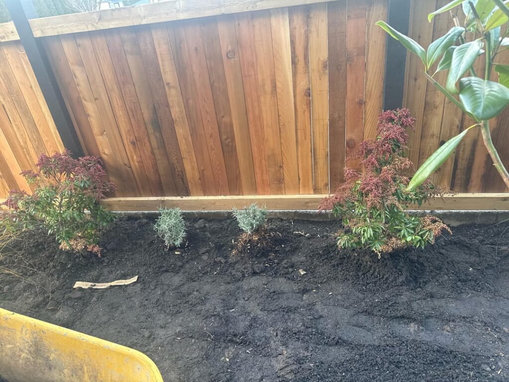 Help am I doing the right thing with the spacing and the plants NE direction in Langford bc