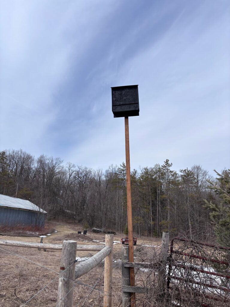 Bat box built and posted