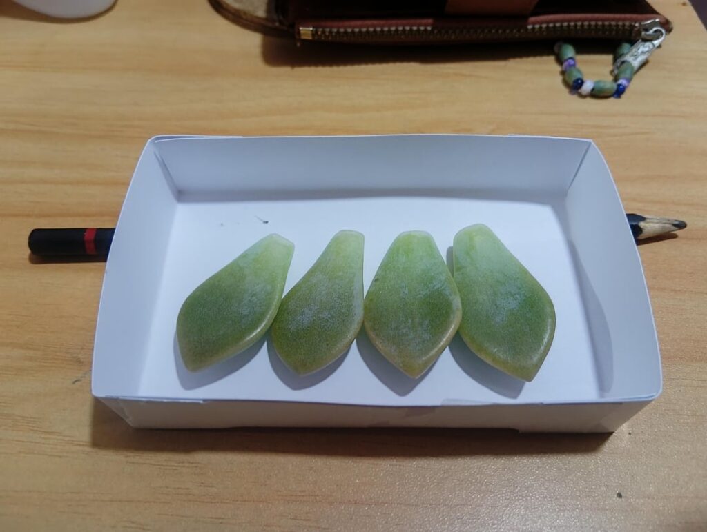 I got paid in leaves