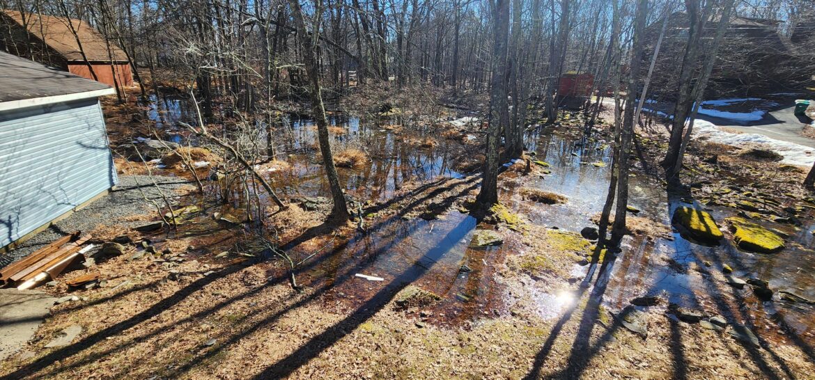 Need options for flooded yard