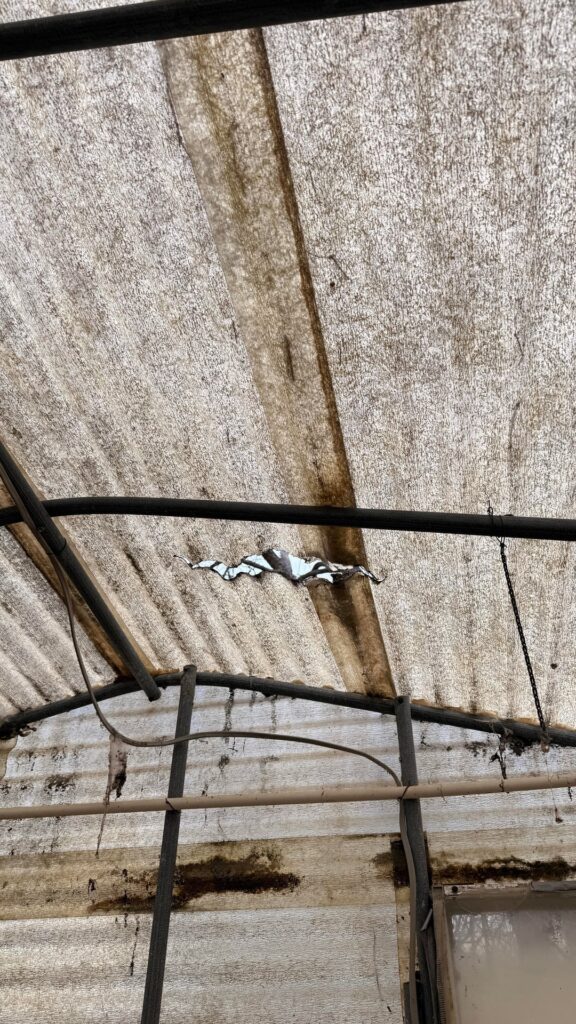 Ideas on how to patch up holes in greenhouse?