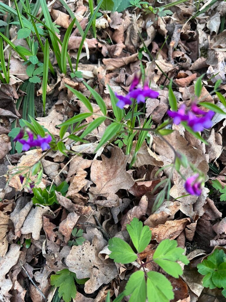 Any thoughts about this one?