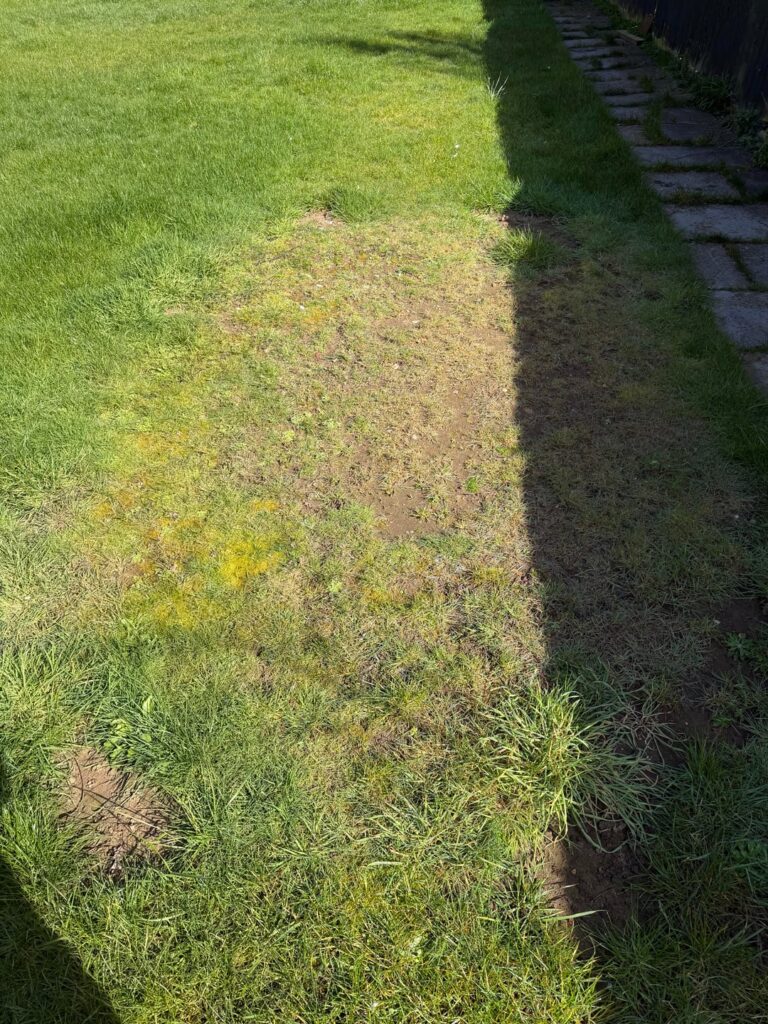 How to fix this bit of grass, previous owners had a trampoline here!