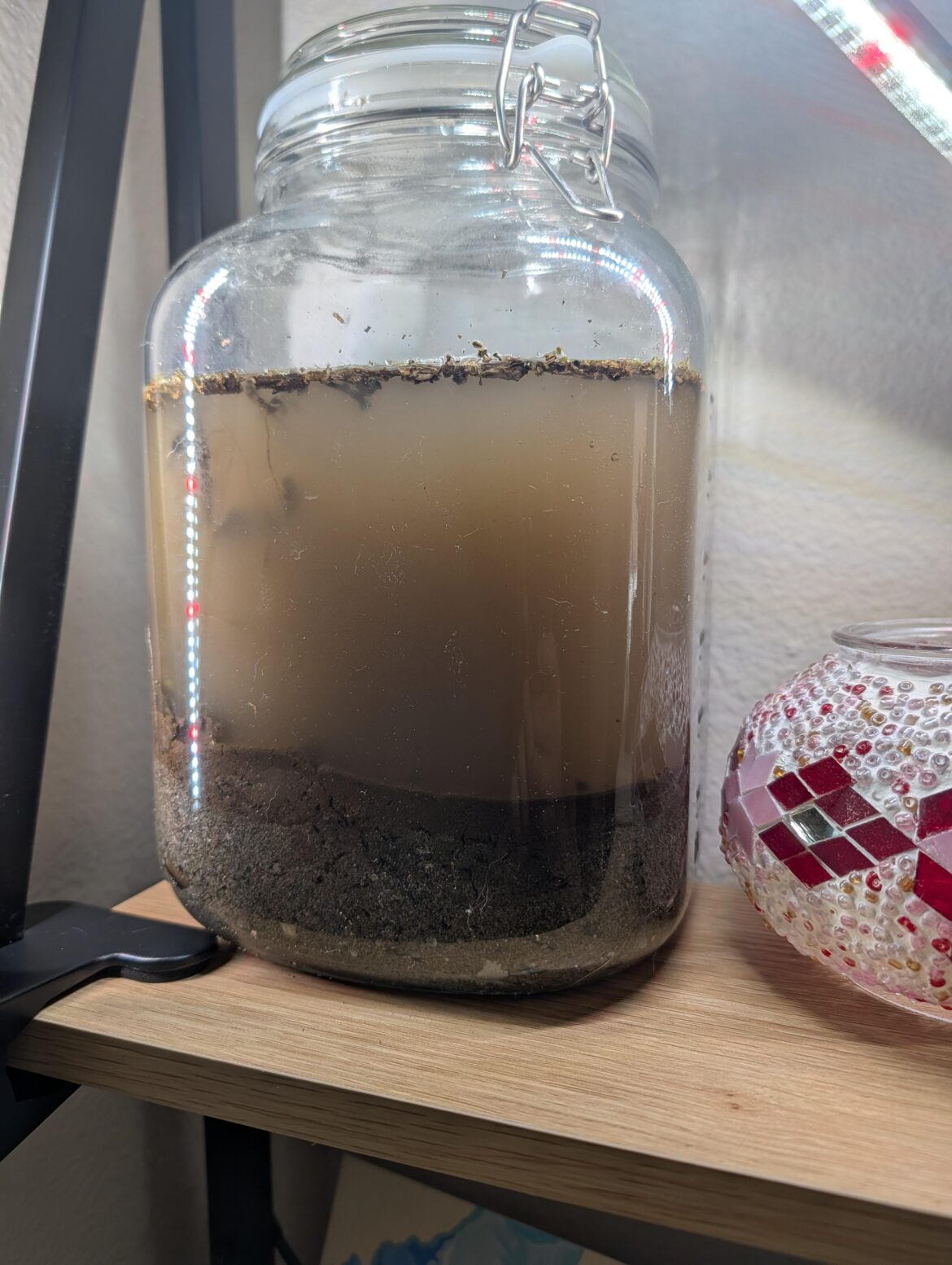 First time trying this out.  It was about 4 hours old at the time of this photo.