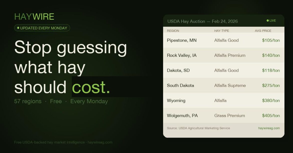 Compiled USDA hay auction prices across the Midwest this week — here's what I found