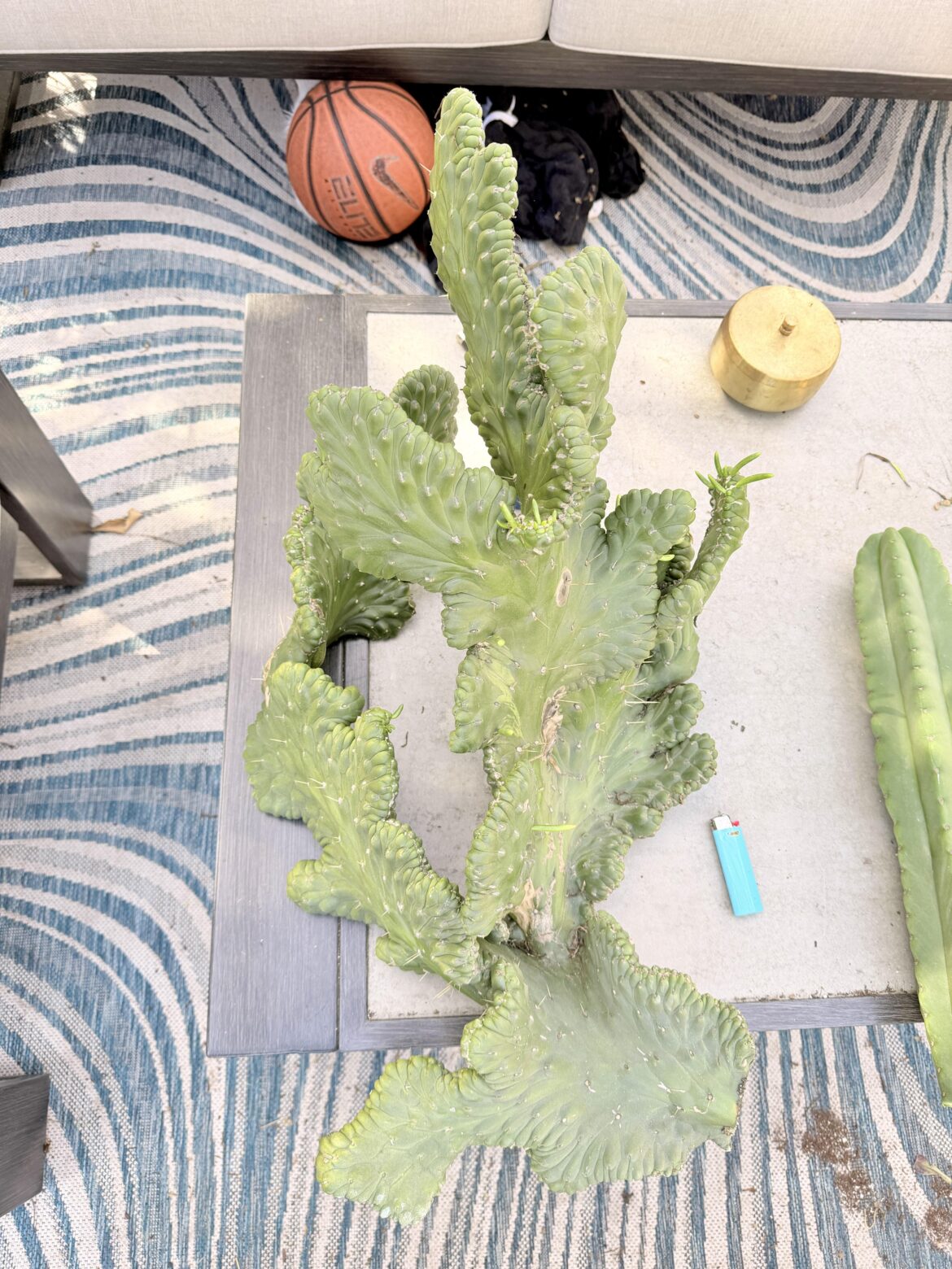 An absolute steal at $25