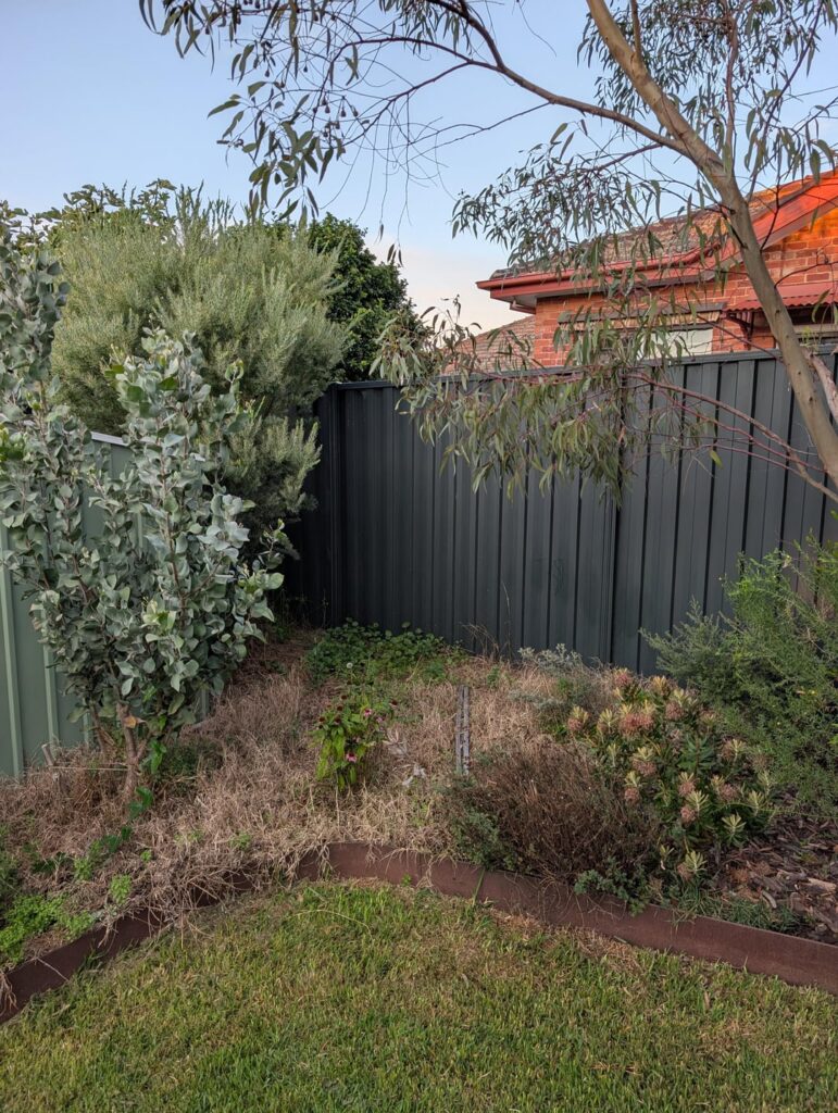 Mulch and irrigation before spring planting? 🤔 Mulch and irrigation before spring planting? 🤔