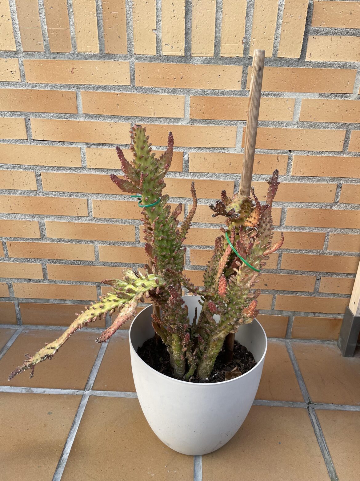 Help, please!