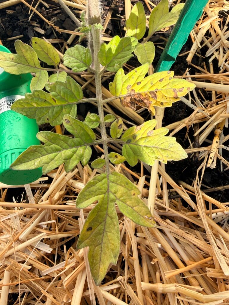 Help! Florida newbie