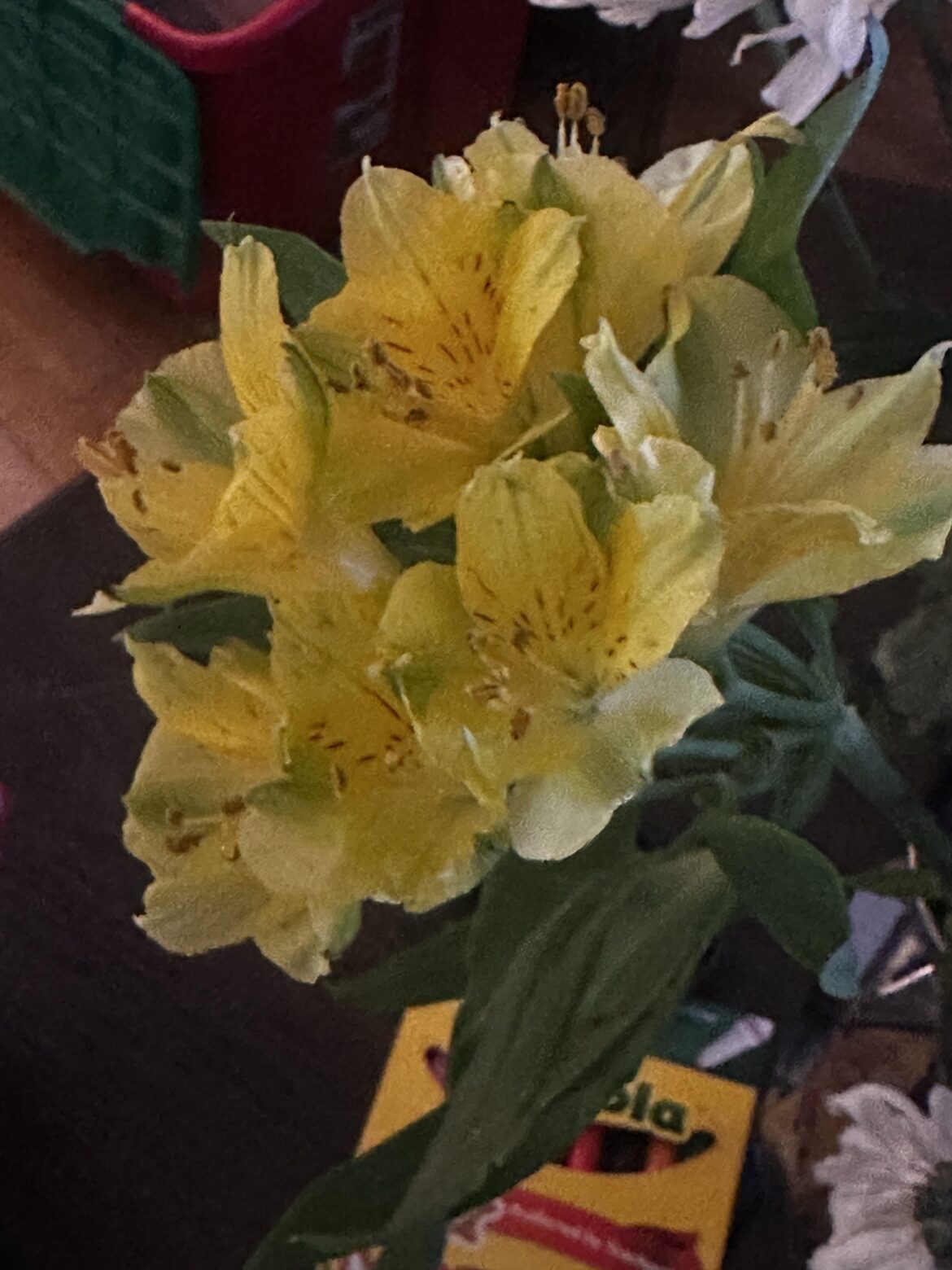 Lily hidden in a flower arrangement