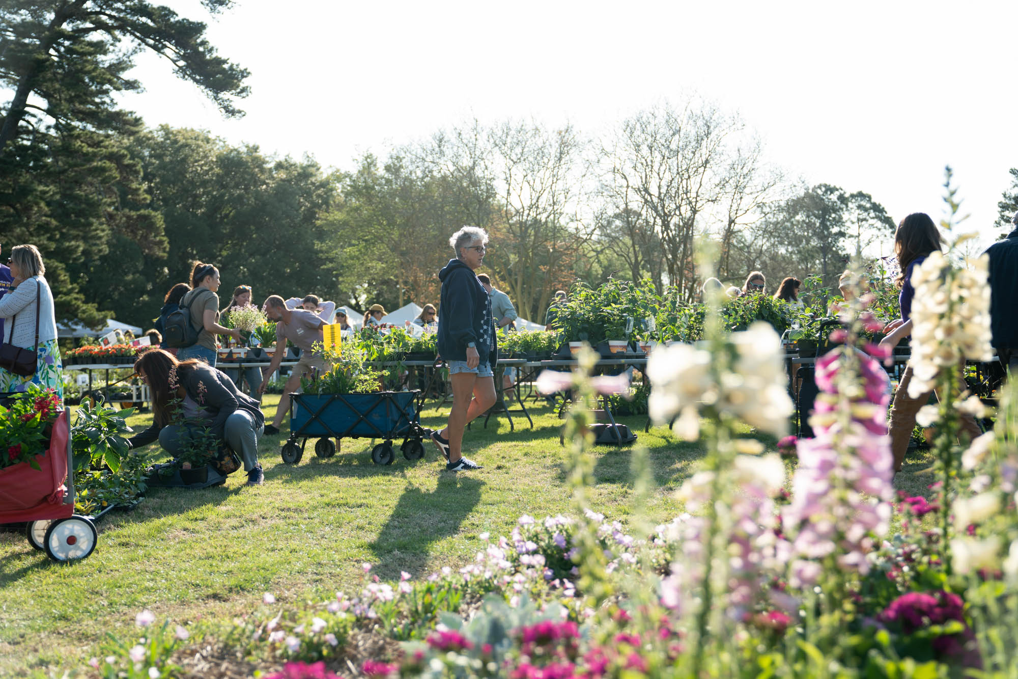 PHOTOS: LSU AgCenter Spring Garden Festival