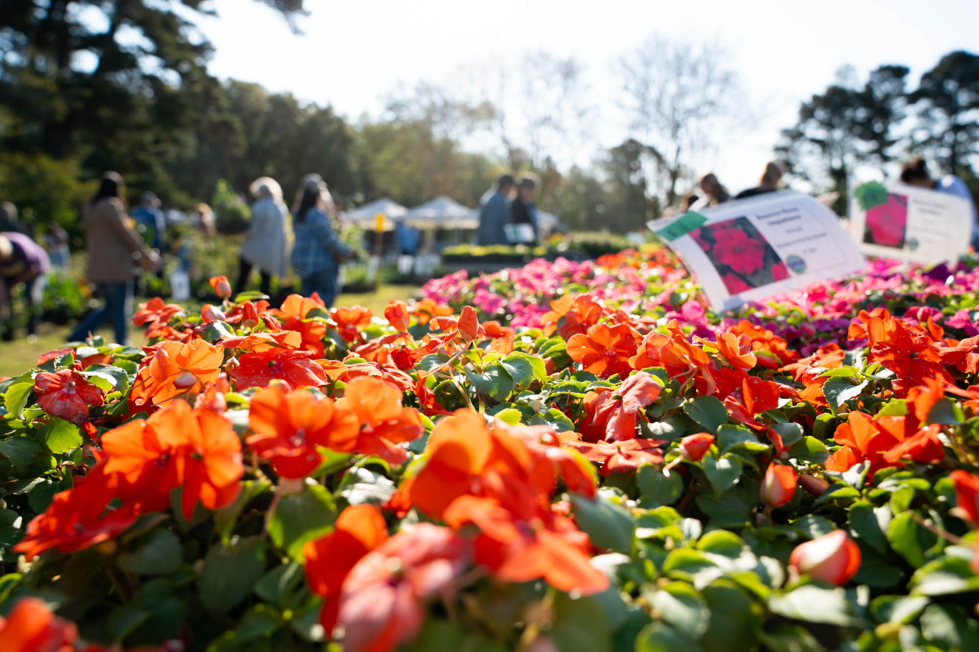 PHOTOS: LSU AgCenter Spring Garden Festival