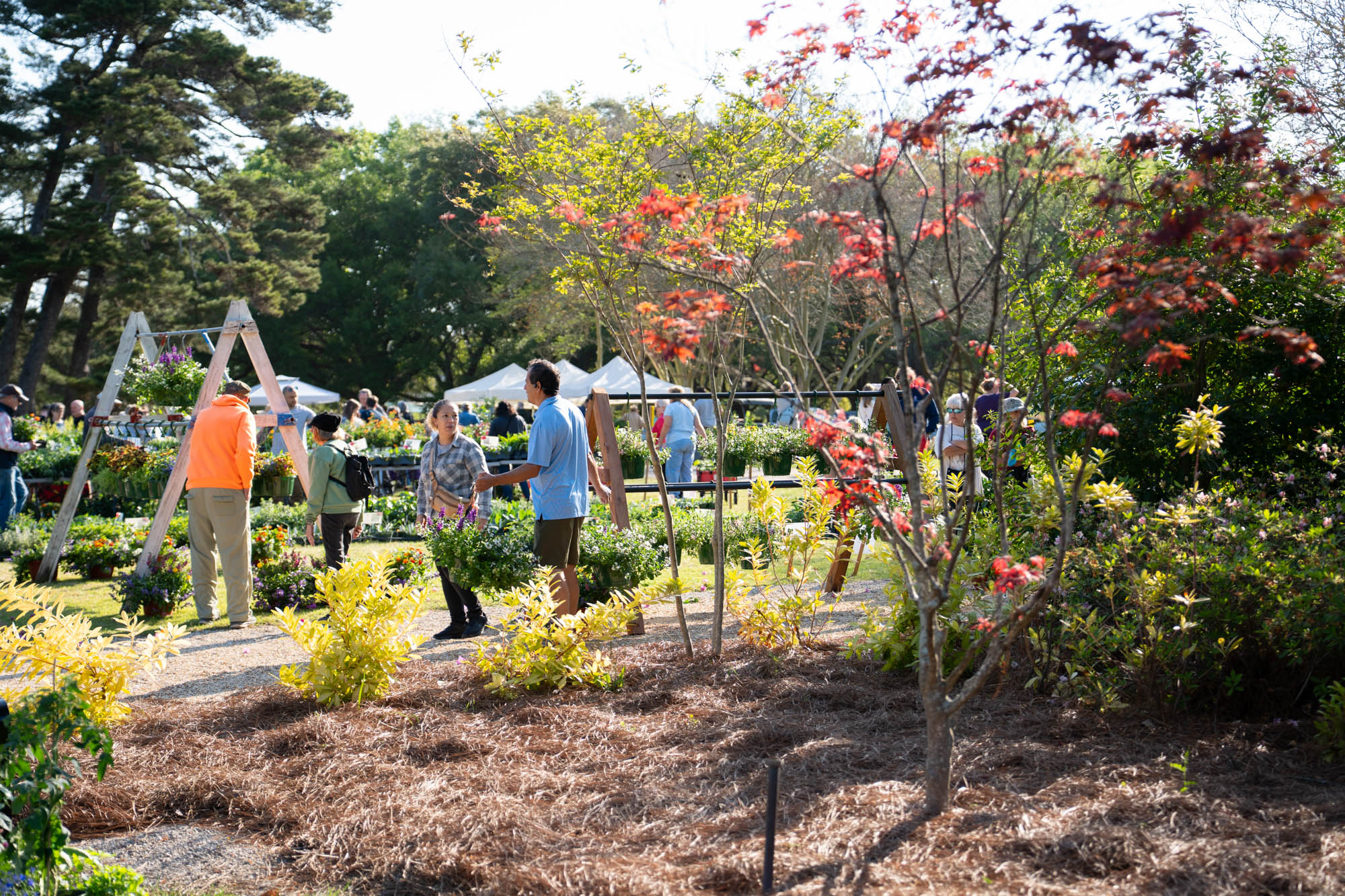 PHOTOS: LSU AgCenter Spring Garden Festival