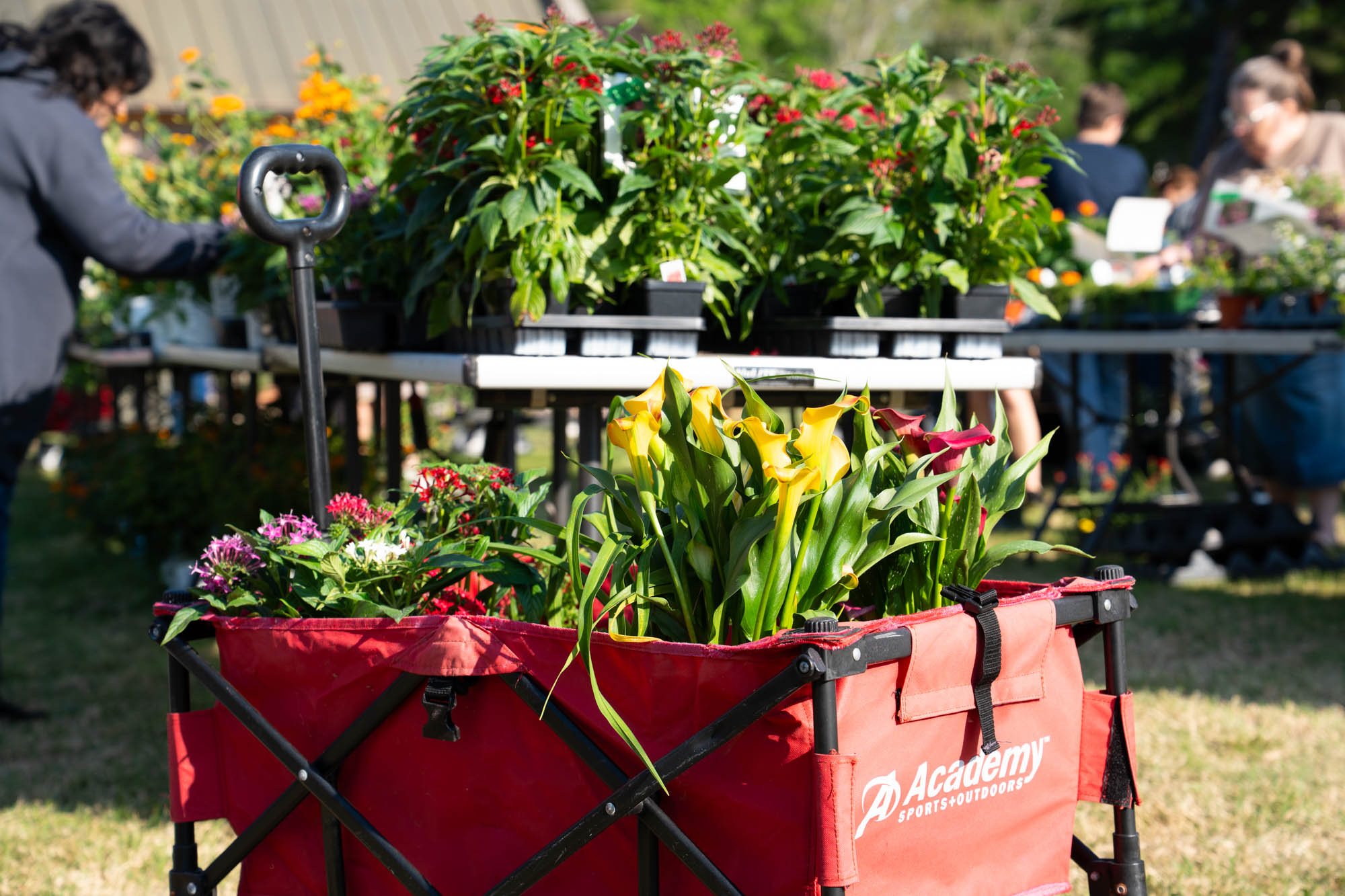 PHOTOS: LSU AgCenter Spring Garden Festival